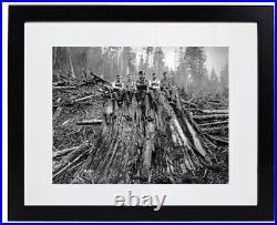 Lot of (3) Historic Matted & Framed Picture Photos Lumberjack Loggers Washington