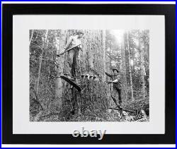 Lot of (3) Historic Matted & Framed Picture Photos Lumberjack Loggers Washington