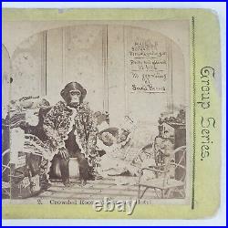 Monkey Chimpanzee Beds Crowded Room Summer Hotel Rules 1880s Stereoview H289