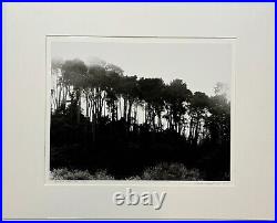 Original GORDON H HASTINGS California Yosemite Death Valley Gelatin PHOTOGRAPHS