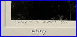 Original GORDON H HASTINGS California Yosemite Death Valley Gelatin PHOTOGRAPHS