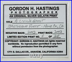 Original GORDON H HASTINGS California Yosemite Death Valley Gelatin PHOTOGRAPHS