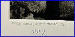 Original GORDON H HASTINGS California Yosemite Death Valley Gelatin PHOTOGRAPHS