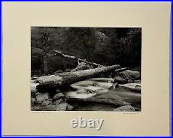 Original GORDON H HASTINGS California Yosemite Death Valley Gelatin PHOTOGRAPHS