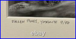 Original GORDON H HASTINGS California Yosemite Death Valley Gelatin PHOTOGRAPHS