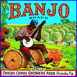 Oviedo Florida Banjo Black Americana Orange Citrus Fruit Crate Label Art Print