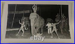 RARE Fulmer Estate B&W PRESS PHOTO PACK 1950s MILLS Bros CIRCUS Elephants COA