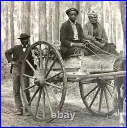 RARE! IDYLIC SCENE of AFRICAN AMERICANS near CHARLESTON S CAROLINA PHOTO c1909