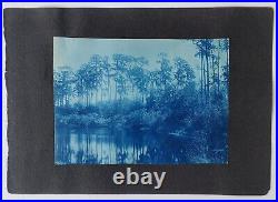 RARE Pair of Cyanotype Photos Black Sharecroppers / Southern Landscape