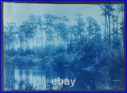 RARE Pair of Cyanotype Photos Black Sharecroppers / Southern Landscape