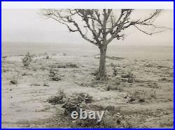 RARE Photograph by African Amer. Kerry Stuart Coppin 1953-2022 (Boy Dreaming) 03