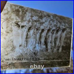 RARE Subject! Stringer Of Black Bass @ Rouses Point N. Y. Unframed Ambrotype