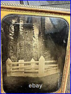 Rare Large 1850s Ambrotype of a Wooded Cemetery / Graveyard Photo Antique 1800s