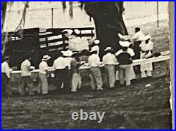 Rare RRPC Aftican American BBQ Carville Louisiana Leprosarium, Oak Trees Photo