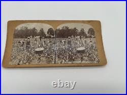 Set of 3 Stereoview Cards Black Americana