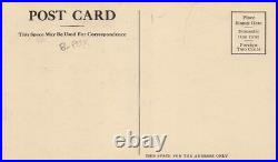 Stenton Mansion Tombstone of Dinah Black Americana Woman Hero Vtg Postcard I1