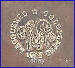 Unusual Tintype Photographic Studio Image Hunting-Spaniel Dog Lying Down Framed