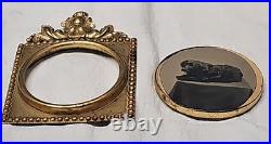 Unusual Tintype Photographic Studio Image Hunting-Spaniel Dog Lying Down Framed