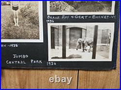 Vintage 1930's Photo Album Nj Women Central Park New York Zoo Swimsuit Photos
