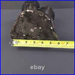 Vintage African American Afro Bust Statue Black Woman Man Kissing Chalk Ceramic Vintage African American Afro Bust Statue Black Woman Man Kissing Chalk Ceramic