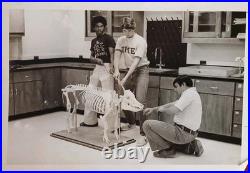 Vtg Photographs Black College Univ Yearbook Proofs Fraternity Alpha Phi Alpha