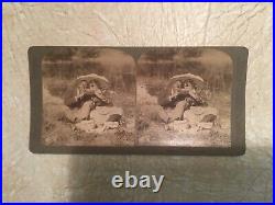 X RARE 1800's AFRICAN AMERICAN Man & woman STEREO CARD